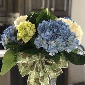 Meet your Posher, Lorena